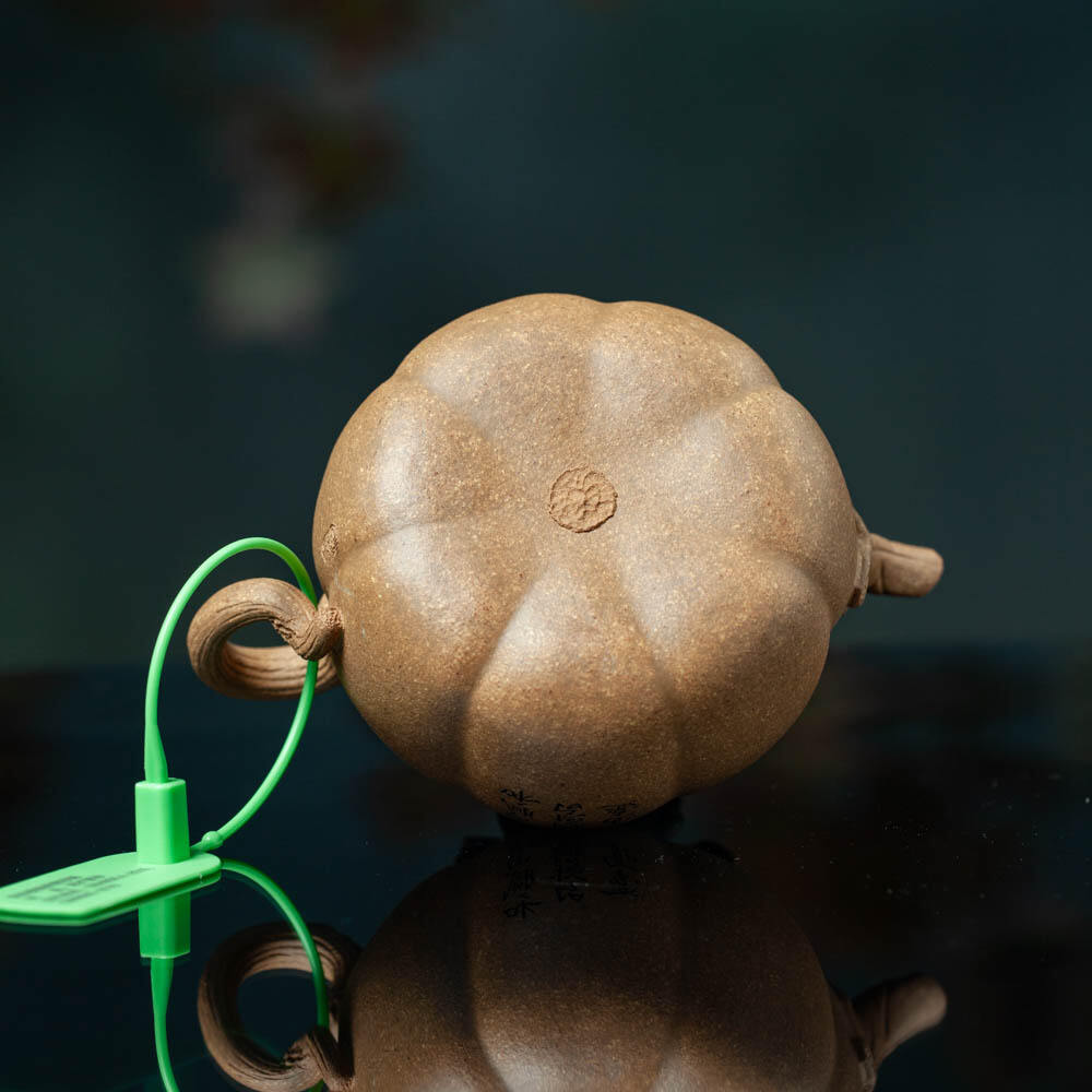 Organic Vegetable Box