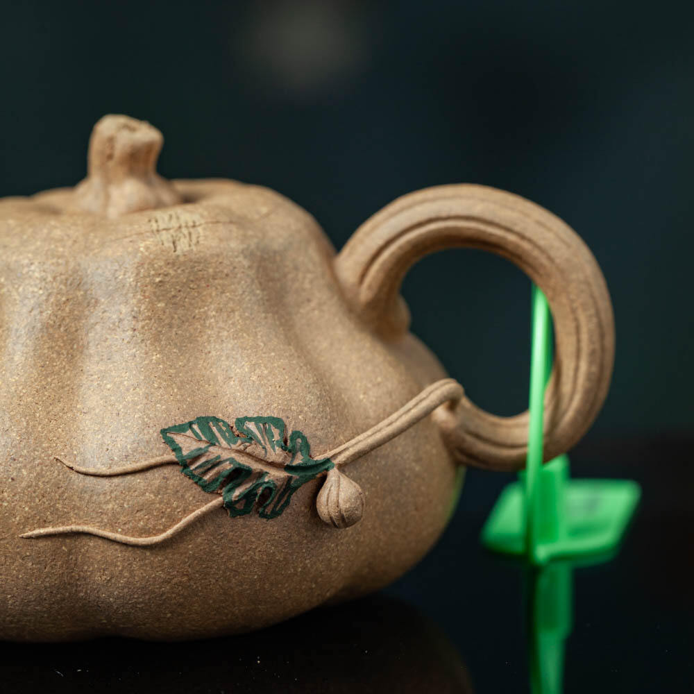 Organic Vegetable Box