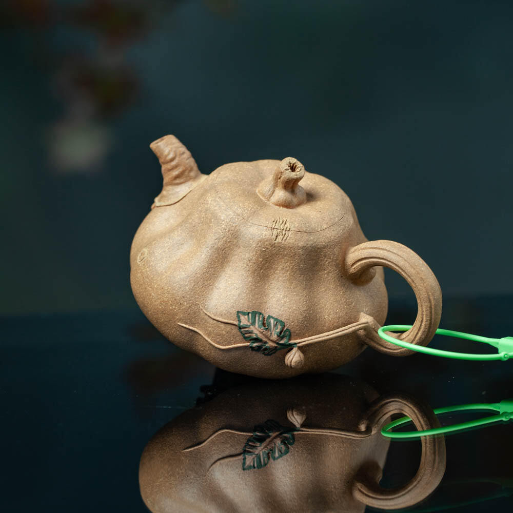 Organic Vegetable Box